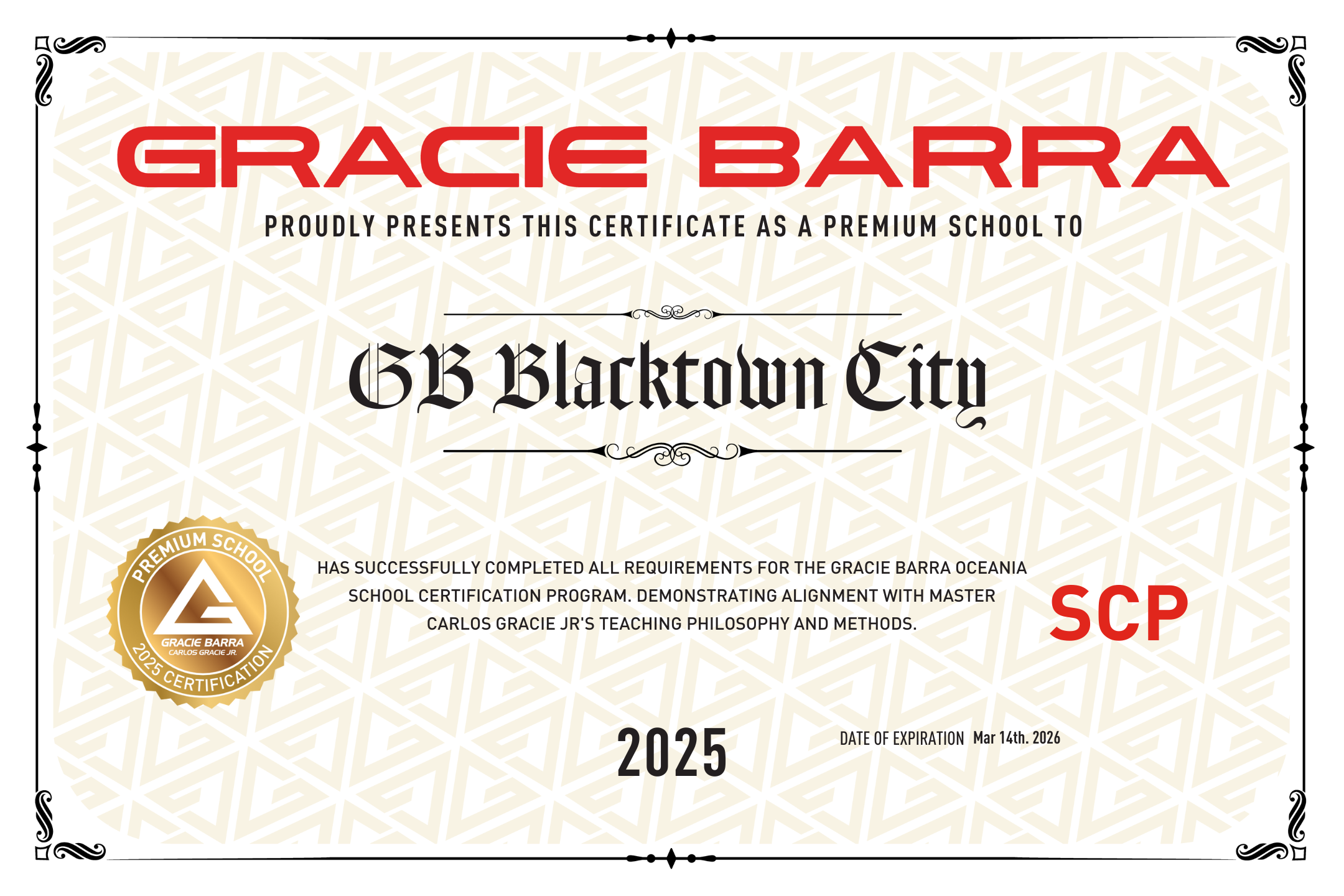 Gracie Barra Blacktown City - Premium School image